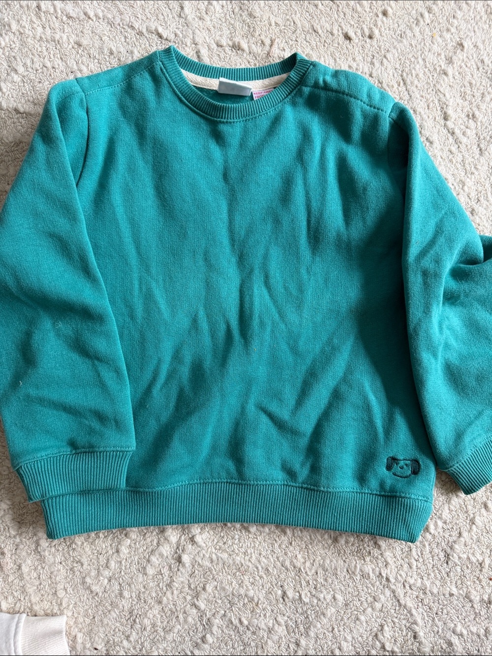 Zara Teal Crewneck Sweatshirt for Kids